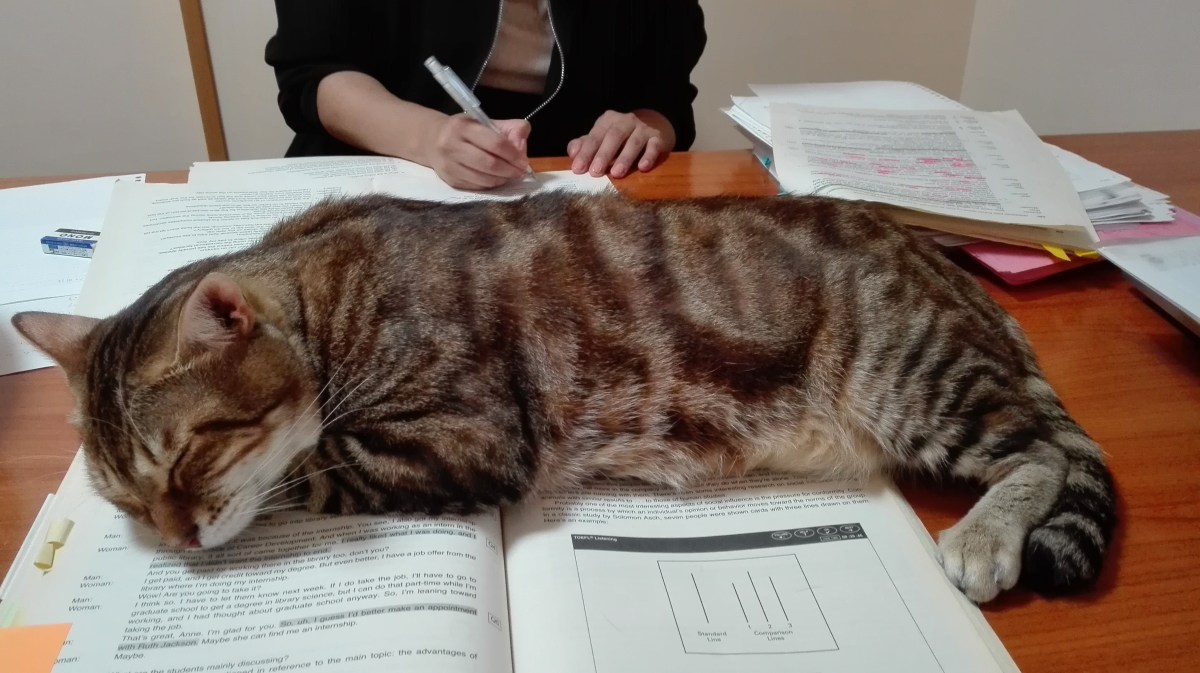 ★MYさん★（20代、二松学舎大学文学部、江東区）