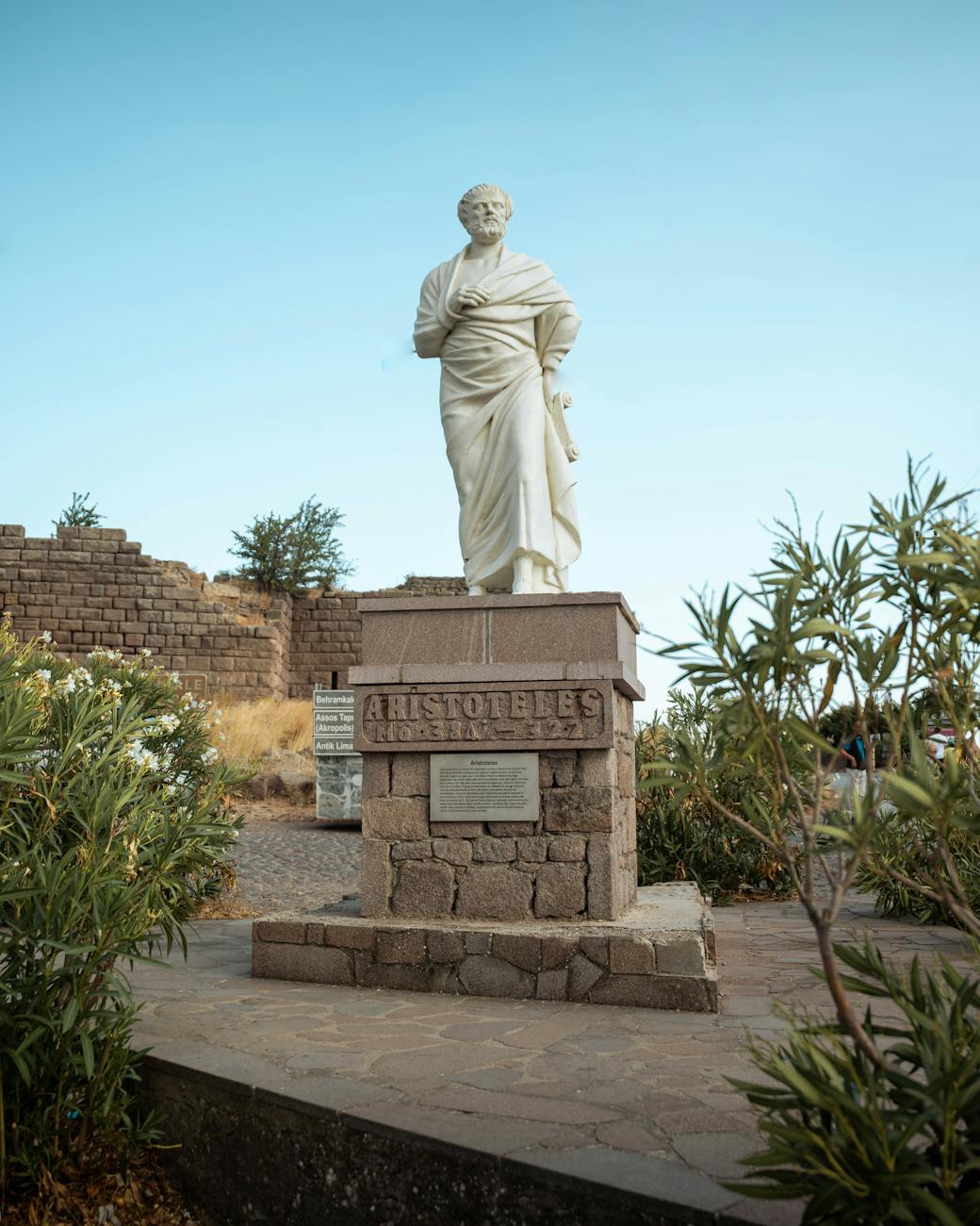 「医学用語の多くがギリシャ語やラテン語由来である驚き」